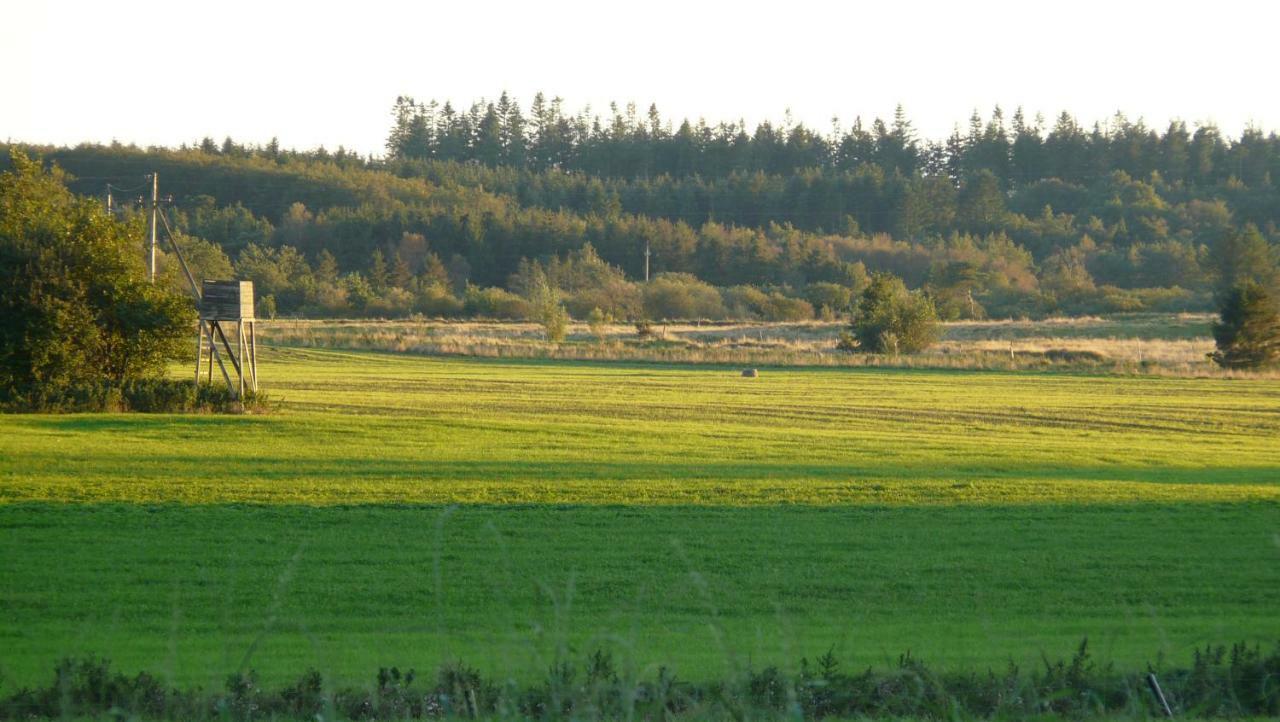 Lynggaard B&B Nibe Esterno foto
